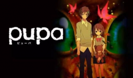 pupa动漫,探索青春与梦想的奇幻旅程